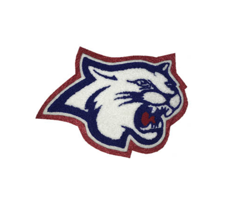 Mascot-Temple Wildcat – Centex Recognition